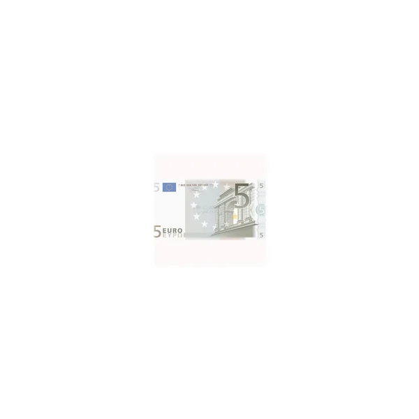 5 EUROS MONEDA DE PAGO