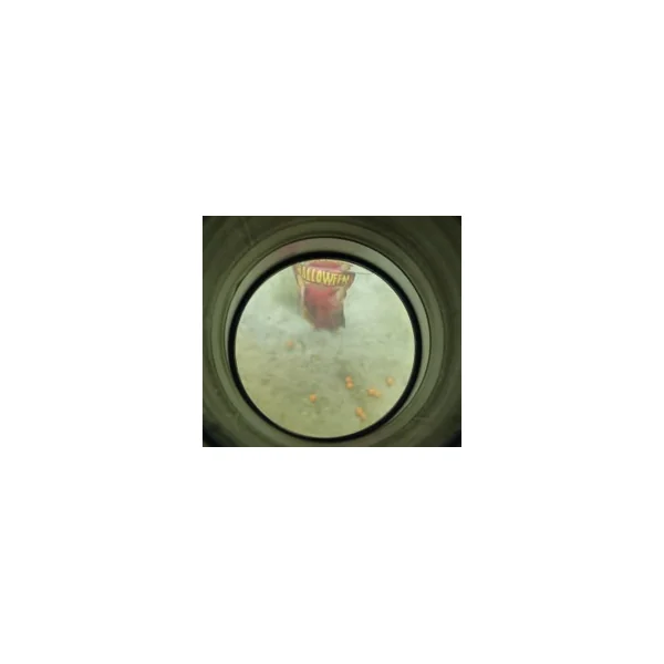 Anaconda Aqua Scope