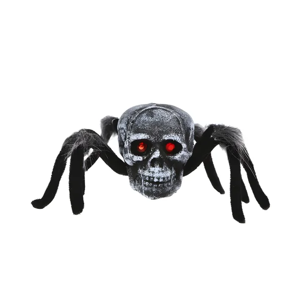 Araña de 23 cm peluda con calavera