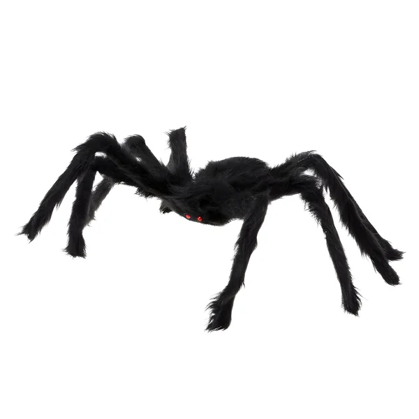Araña de 50 cm peluda