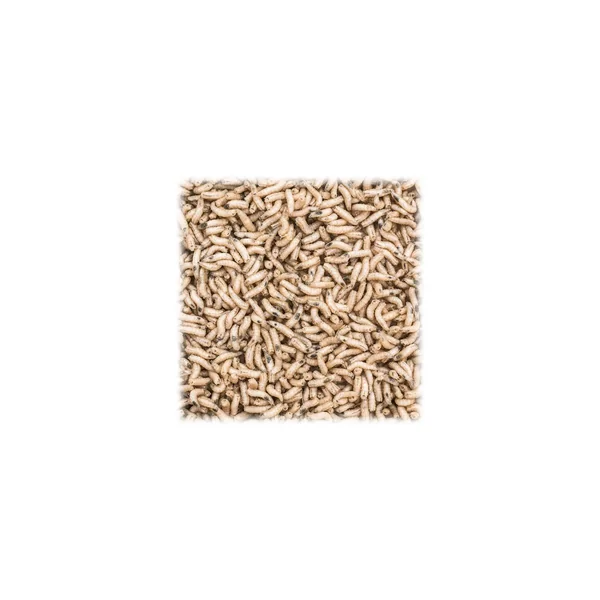 ASTICOT BLANCO 1LT