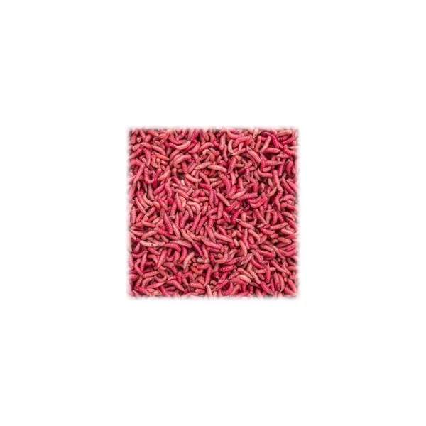 ASTICOT ROJO 1LT