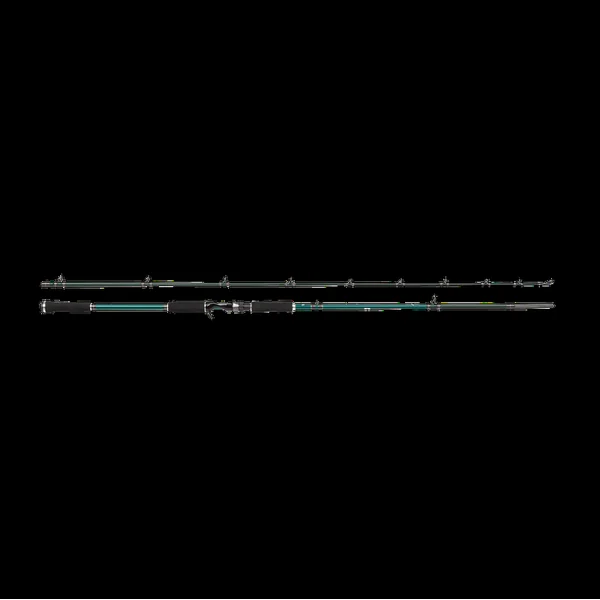 Beast X Casting Rod