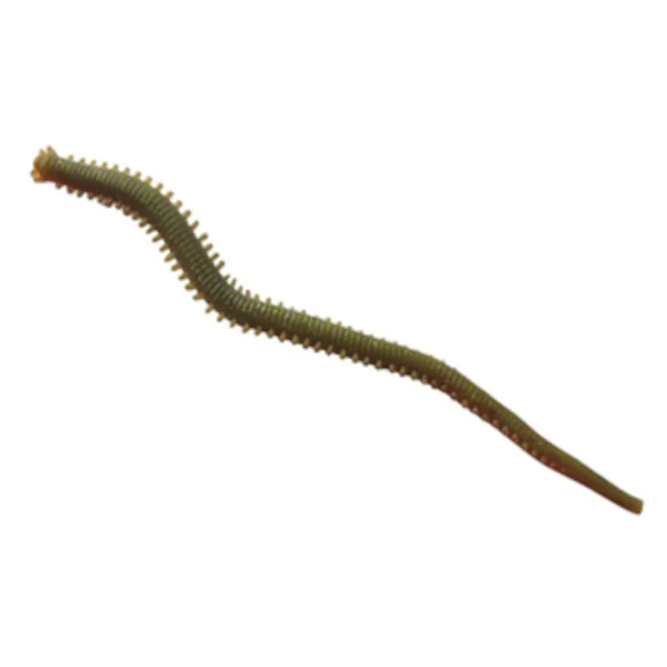 Berkley Gulp! Alive Saltwater Sandworm Camo
