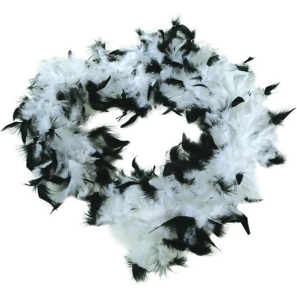 Boa de plumas de 40 gr - Imagen 5