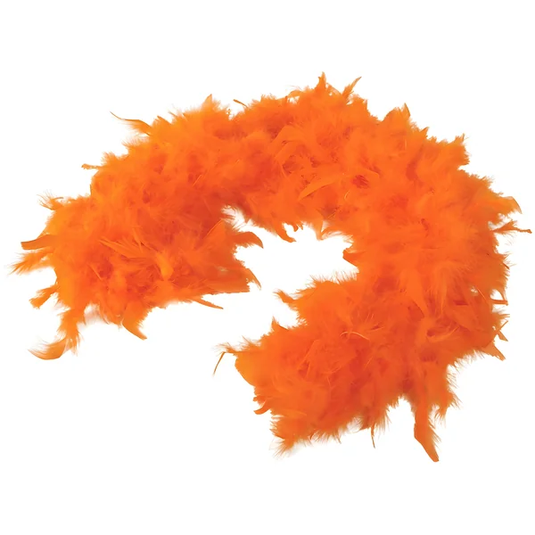 Boa de plumas de 40 gr - Imagen 9