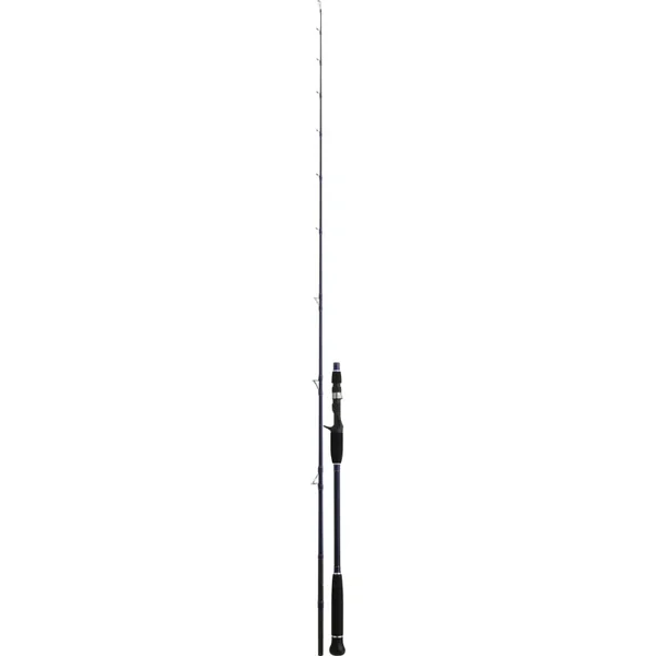 Caña Daiwa Exceler Oceano 642-HBAF Baitcasting