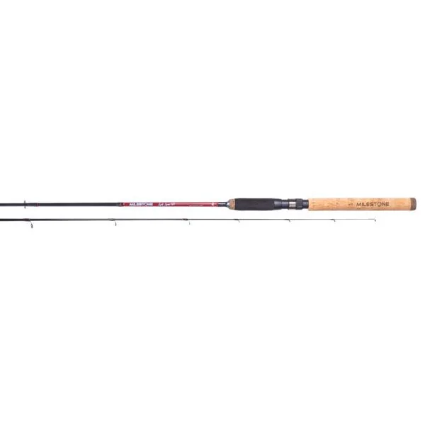 CAÑA - MILESTONE LIGHT SPIN 180 cw 3-12g (2 seg.)
