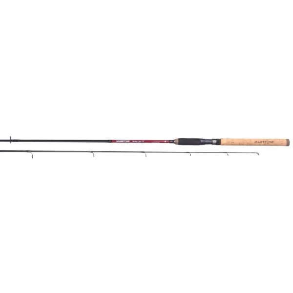 CAÑA - MILESTONE MEDIUM SPIN 210 cw 5-25g (2 seg.)