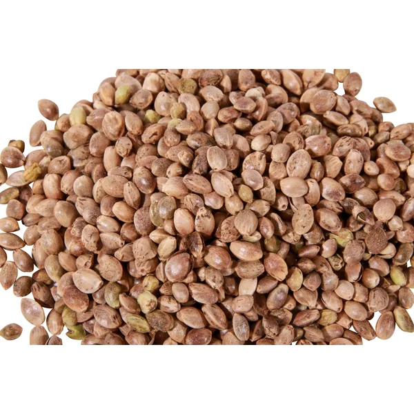 Cáñamo - 2,5 kg