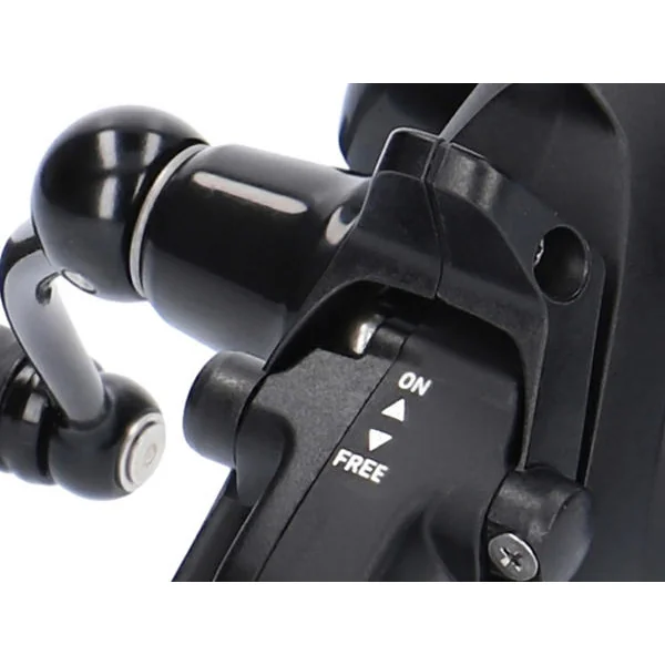 Daiwa 19 Black Widow BR LT 3000