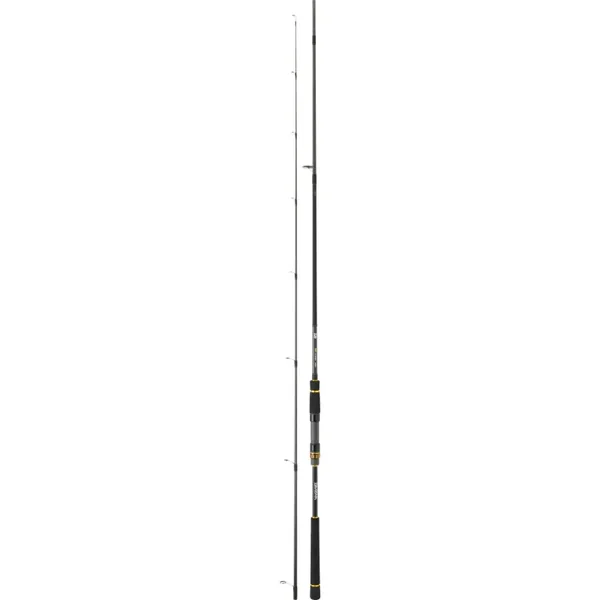 Daiwa BG Seabass 802 HFS(2.44m)