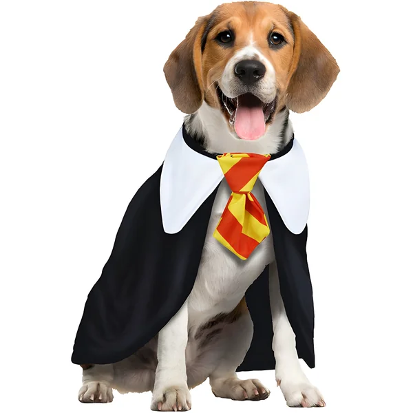 Disfraz de estudiante de magia para perro
