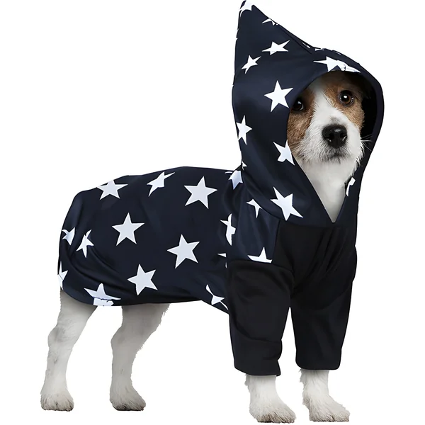 Disfraz de mago para perro