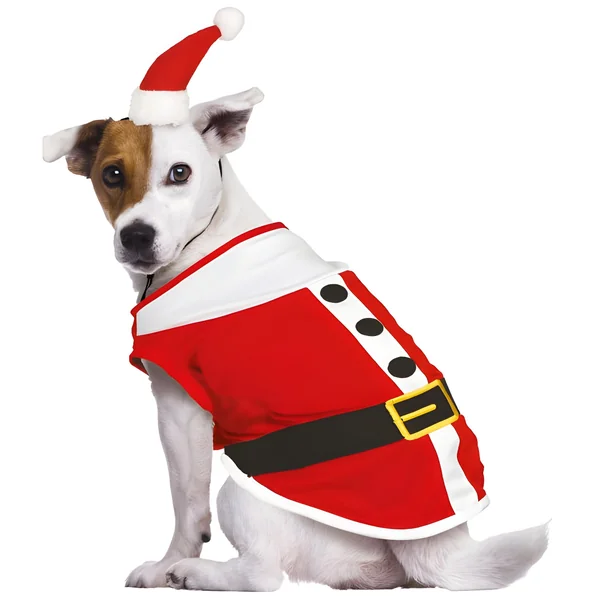 Disfraz de Santa Claus para perro