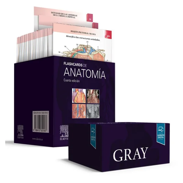 GRAY Flashcards de Anatomía