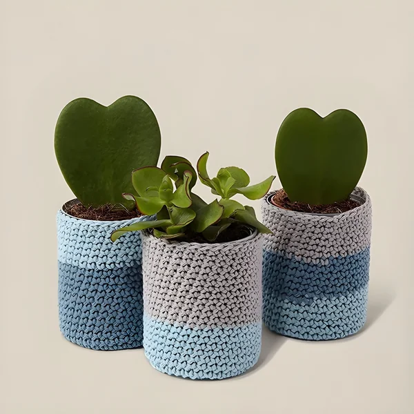 Kit de crochet - Decoración de maceteros - DMC - Imagen 2