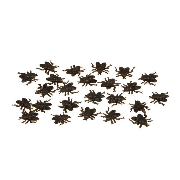 Moscas de 2 cm - 24 unidades