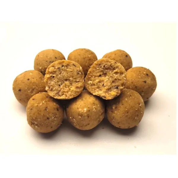 MTC Baits NutCase Boilies 24mm(1 kg)