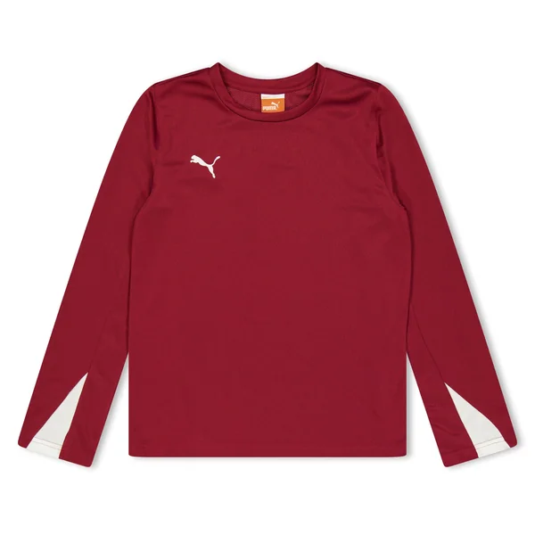 Puma (13) Team Ls Shirt Juniors