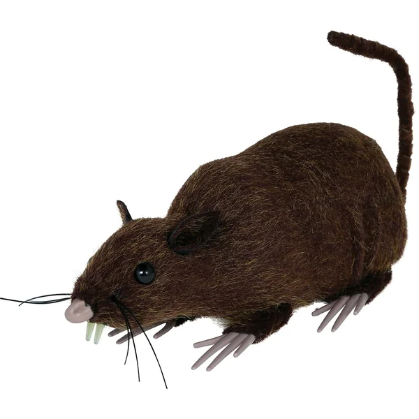 Rata marrón de 15 cm - Imagen 3