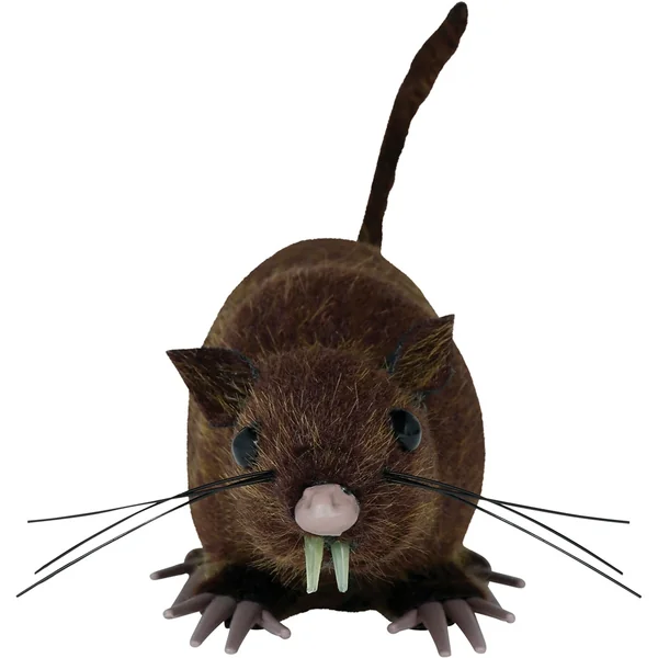 Rata marrón de 15 cm - Imagen 5