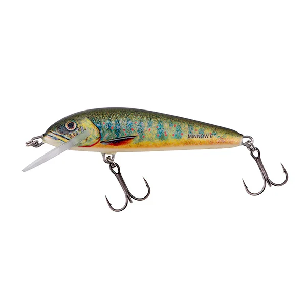 Salmo Minnow 6cm 4gr Floating 0,5-1m Lake Charr
