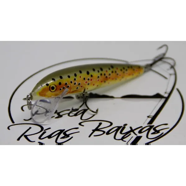 Señuelo Rapala Countdown CD-9 Color TR