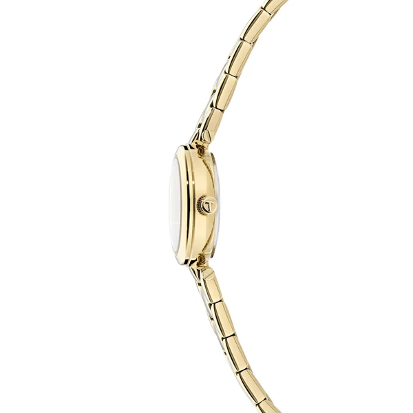 Ted Baker Jolyye Quartz Analogue Watch - Imagen 3
