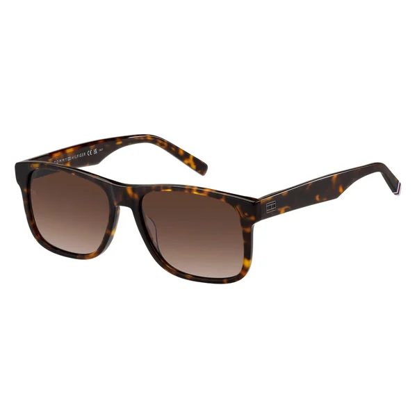 Tommy Hilfiger Men's Rectangular Round Sunglasses
