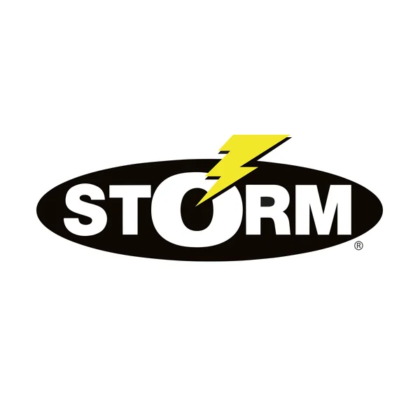 Vinilo STORM® BISCAY SHAD - 40 G / SARDINE - Imagen 2
