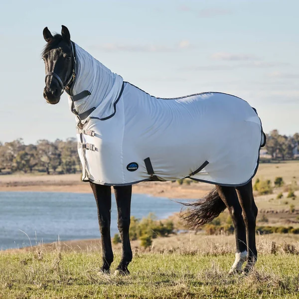 Weatherbeeta Weatherbeeta Comfitec Tyro Fly Sheet Combo