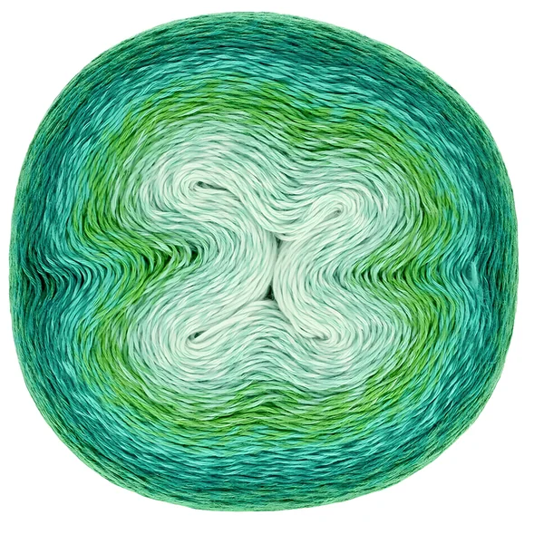 Woolly Whirl de 220 gr - Scheepjes - Imagen 4