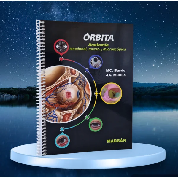 Órbita. Anatomía seccional, macro y microscópica - Imagen 2